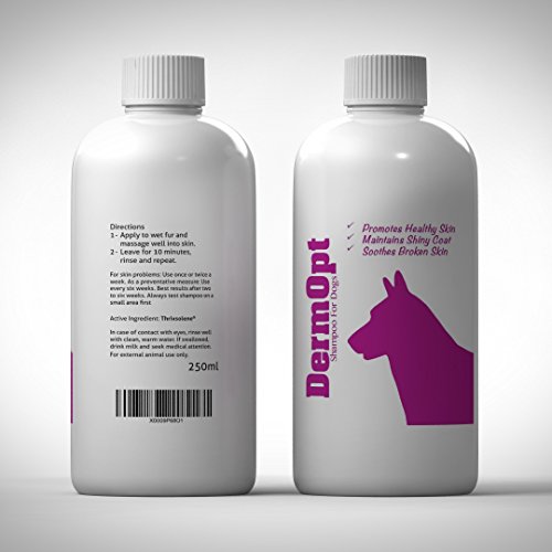 DermOpt Dog Shampoo for Dogs With Itchy Skin - Anti ...