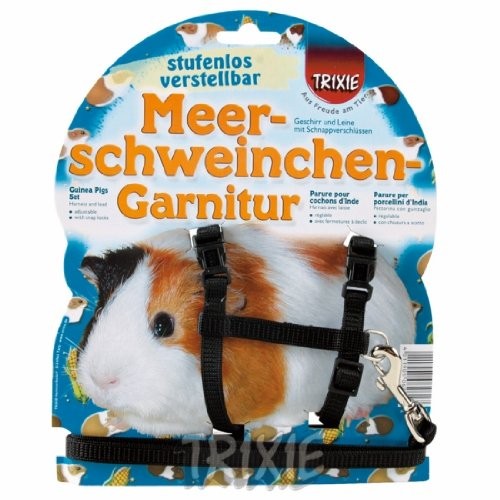 guinea pig leads harnesses