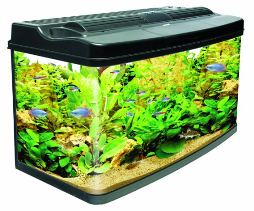 Interpet Original Fish Pod Glass Aquarium 120 litre - Pets Lovers Top Store