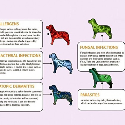 antifungal dog shampoo uk